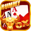 rummy nabob all game download